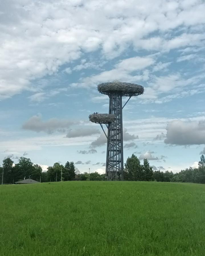 Pesapuu Rõuges