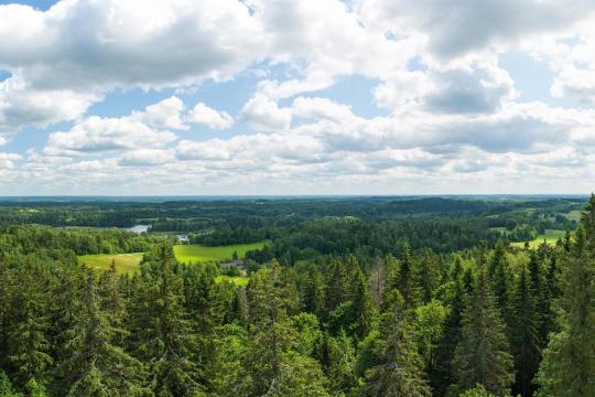 Vaade Suure Munamäe vaatetornist
